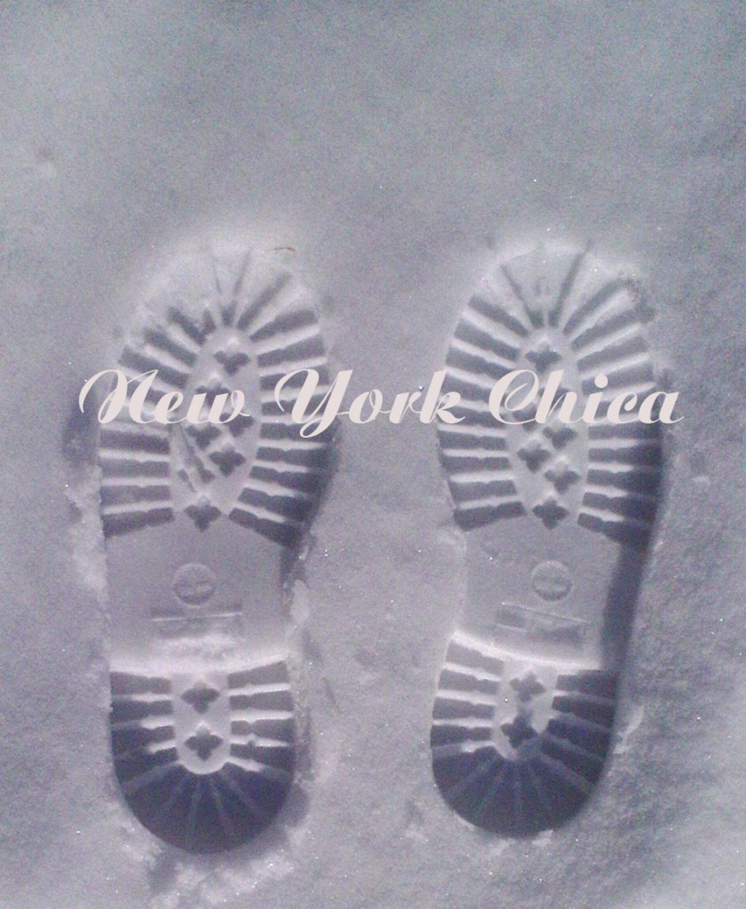 footprintsinsnow copy