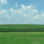 PAGreenery PAGreenery