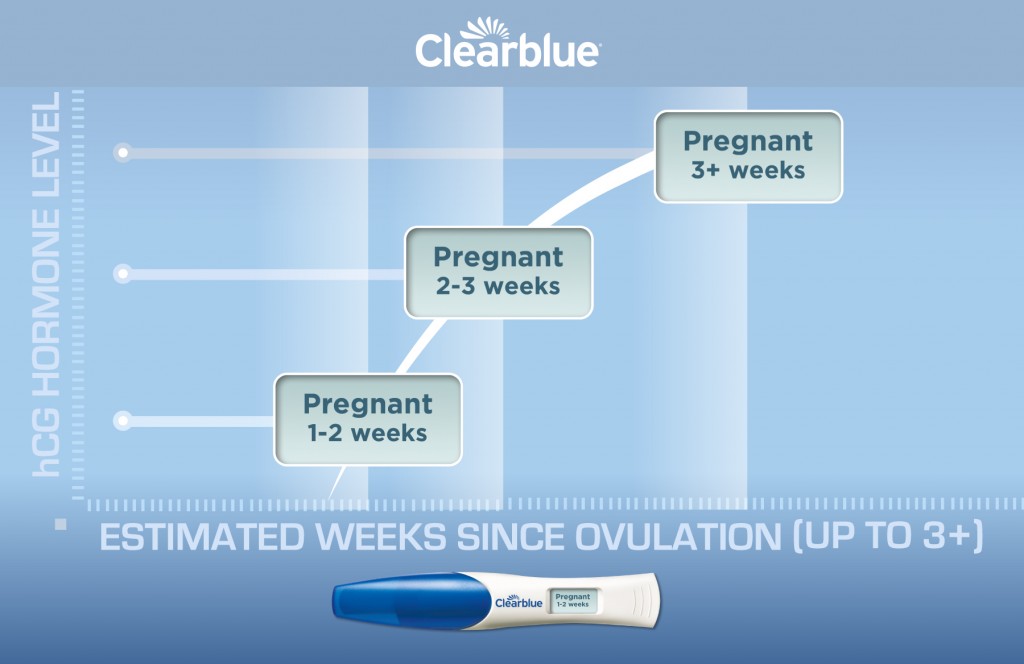 Clearblue hCG Chart